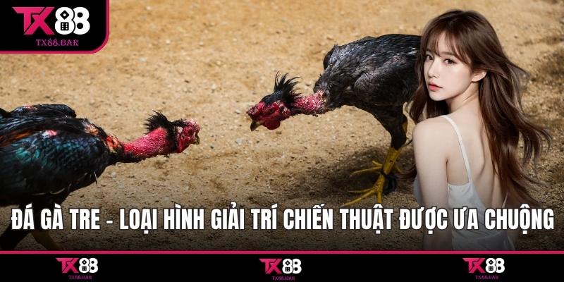 Đá gà tre
