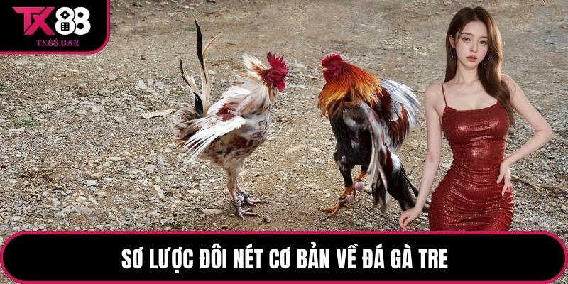 Sơ lược đôi nét cơ bản về đá gà tre